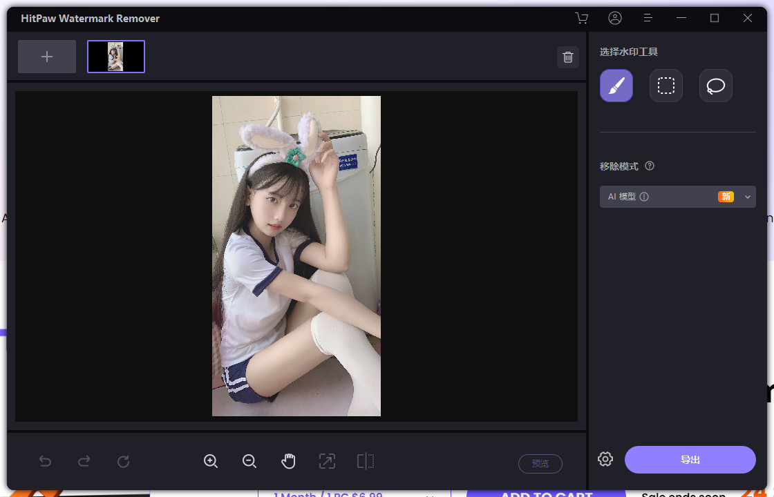 HitPaw Watermark Remover特别版中文 视频图片去水印软件 v2.3.0.8