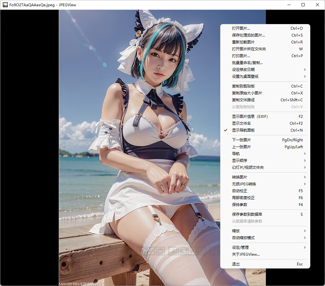 JPEGView中文汉化绿色版 电脑版图像浏览、编辑软件 v1.3.46