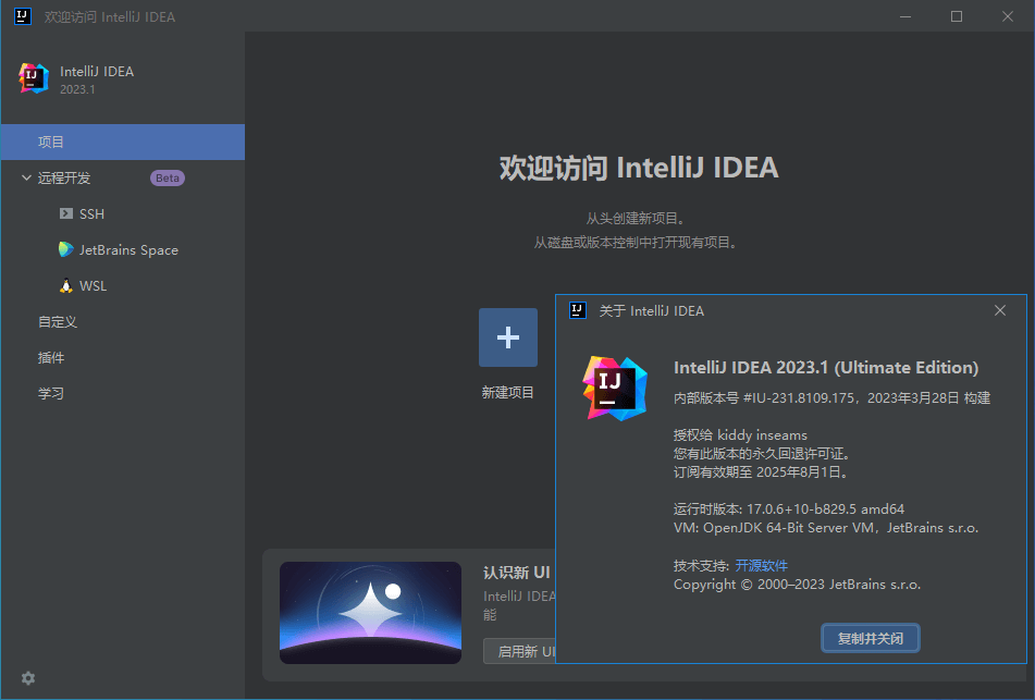 IntelliJ IDEA特别版中文 IDEA2025激活补丁注册机旗舰版 v2025.1.2