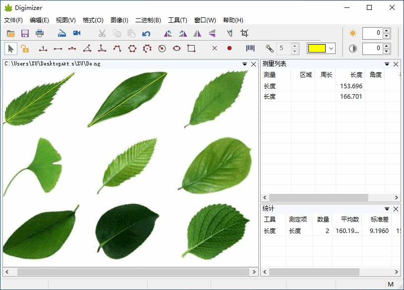 可软网 - Digimizer特别版中文免激活码 医学图像测量分析软件 v6.4.3
