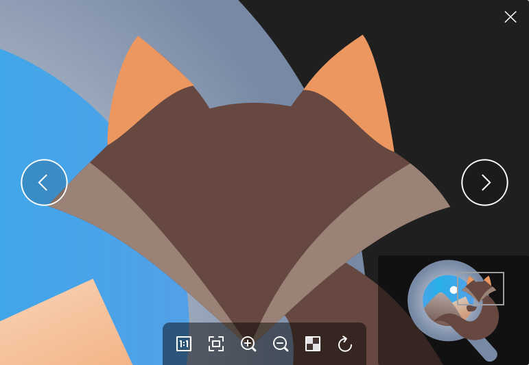 菠萝看图Pineapple Pictures绿色版 开源电脑看图软件 v0.8.1