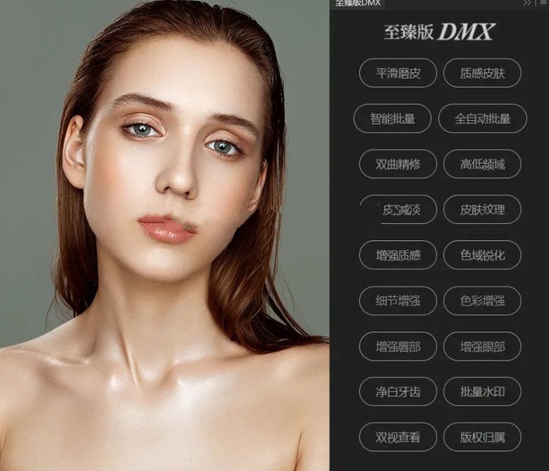 至臻版DMS磨皮插件中文版 PS插件自动磨皮工具 人像精修 2024