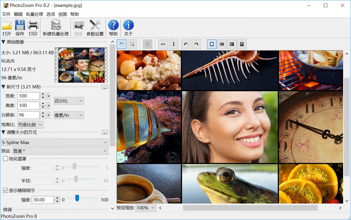 PhotoZoom特别版中文 | 图片无损放大清晰PhotoZoom Pro绿色版免激活码 v9.0.2