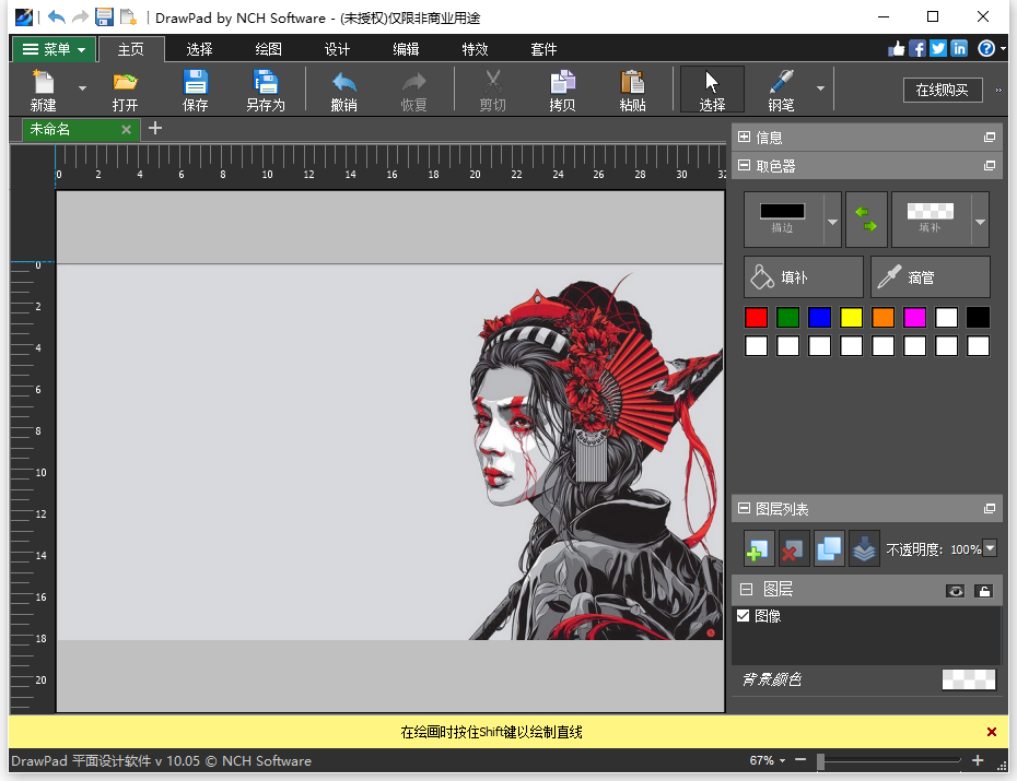NCH DrawPad Pro 中文特别版 电脑图形设计绘图软件 v11.47
