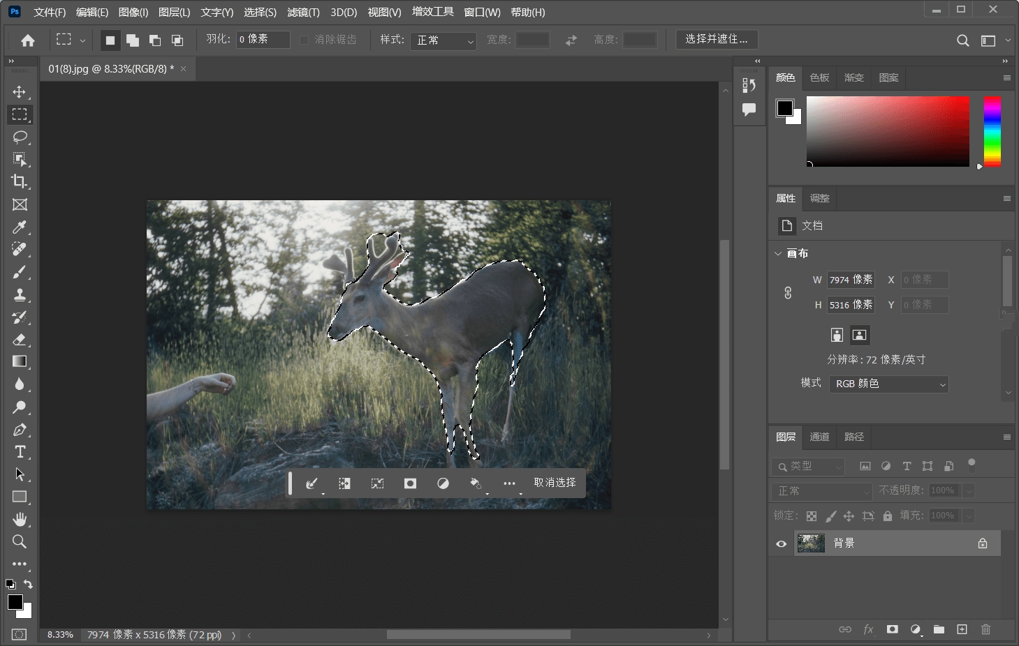 Photoshop 2023特别版中文 免激活注册绿色精简版 v24.7.1