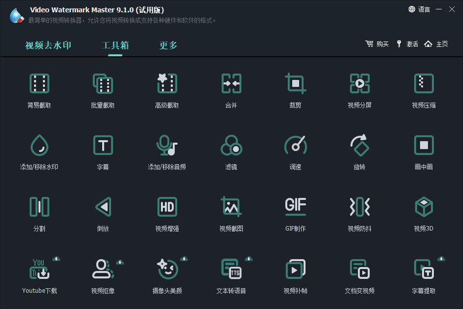 GiliSoft Video Watermark Master特别版中文 视频添加去水印 v9.2
