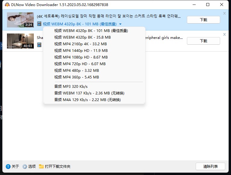 DLNow Video Downloader特别版中文 视频下载工具 v1.54.2025.03.13